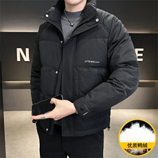 2025冬季DS-A225冬季新款男士立领时尚潮流白鸭绒羽绒服夹克，男装羽绒服，电商A225