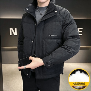 2025冬季DS-A225冬季新款男士立领时尚潮流白鸭绒羽绒服夹克图片