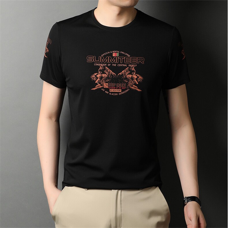 2024年夏新款高端时尚男士T恤P38,男装T恤,电商D223-1