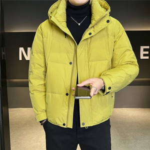 标50绒 羽绒服男冬季2025新款外套 A313-3311-P215 控劵后298图片