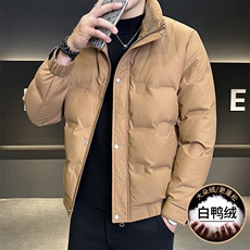 2024新款店主风立领冬季新款白鸭绒加厚潮流百搭羽绒服外套-8316，男装羽绒服，电商A225