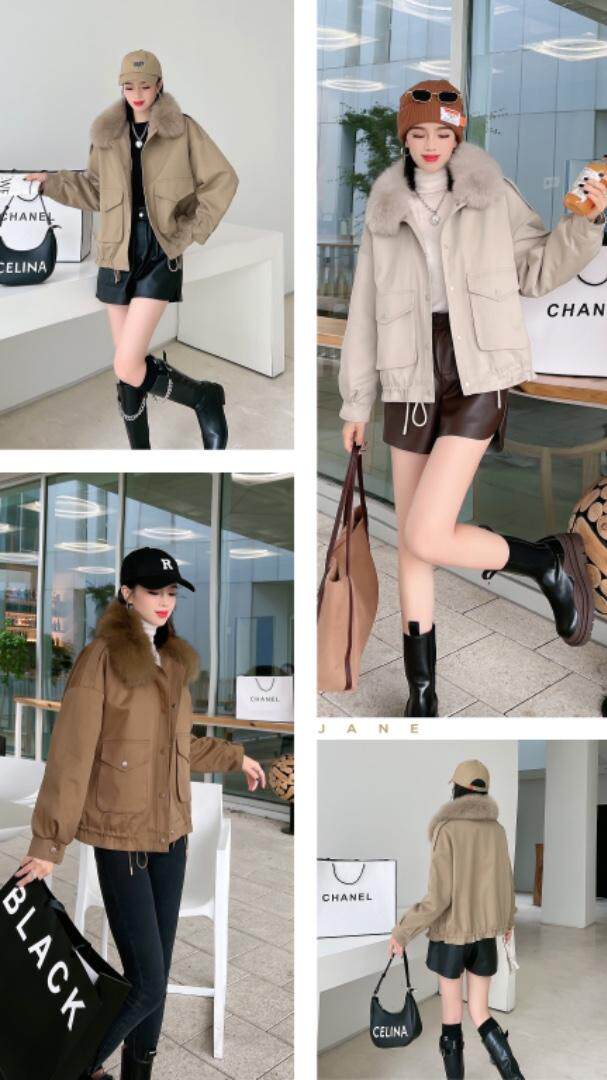 大毛领，其它，英利伊人