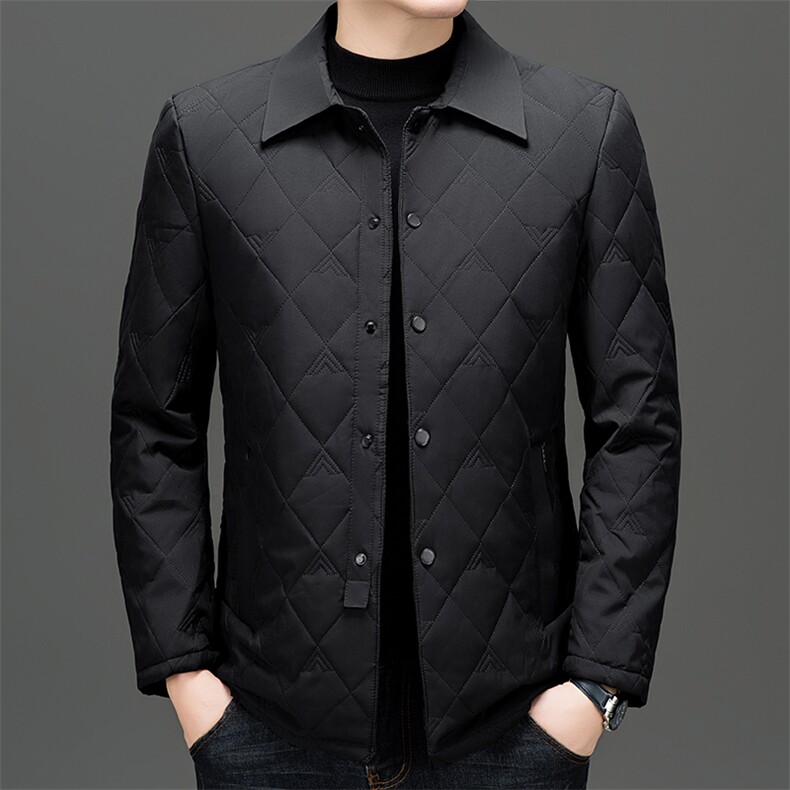 高端商务翻领棉服男2026秋季新款爸爸装棉衣休闲秋装轻薄棉袄外套,男装棉衣,电商B212（原钱塘6029）