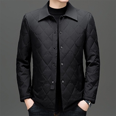 高端商务翻领棉服男2026秋季新款爸爸装棉衣休闲秋装轻薄棉袄外套，男装棉衣，电商B212（原钱塘6029）