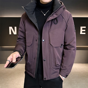 新标90鹅绒服 2025年连帽机能潮流保暖羽绒服男YR6061-P270图片