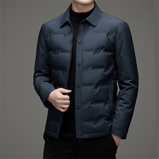 V3127钱塘2020-3时尚休闲冬季厚款中年男士90鹅绒羽绒服P198，男装羽绒服，钱塘207-3