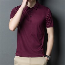2023夏季新款潮流宽松翻领棉质半袖体恤衫中青年男装上衣服打底衫，男装T恤，电商B212（原钱塘6029）