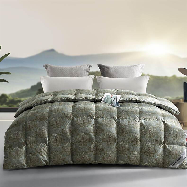 新款全棉柔赛丝印花白鹅绒冬被，被套/被芯，一起卖家纺