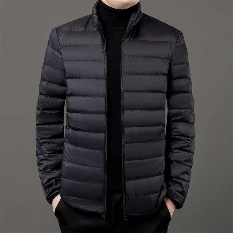 秋冬季大码男轻便棉服立领短款保暖简约休闲运动薄款简约男士图片