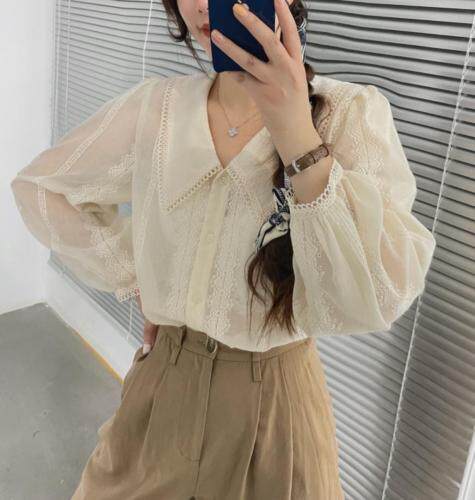 小翻领刺绣纹纯系衬衣，其它，新袖