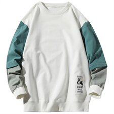 2021春秋季新款潮牌宽松情侣休闲圆领卫衣男DS667T，男装卫衣，电商A102