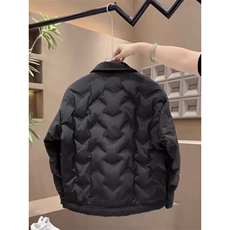 (网图)男士衬衫领设计麦穗纹理羽绒服轻奢时尚保暖313B-2568-P145，男装衬衫，星座313B