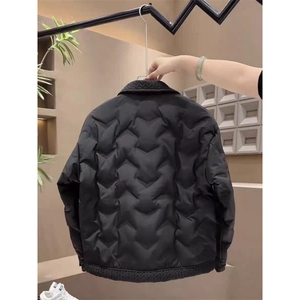 (网图)男士衬衫领设计麦穗纹理羽绒服轻奢时尚保暖313B-2568-P145图片
