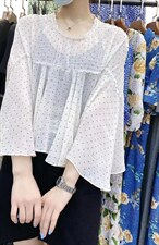 新款雪纺小衫，其它，帝瀛 DY