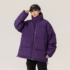 新标白鸭绒简约休闲立领外套纯色潮流加厚羽绒服ESY0215-P150，男装羽绒服，电商B306