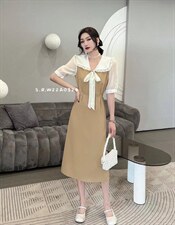 连衣裙，女装连衣裙，斯瑞威