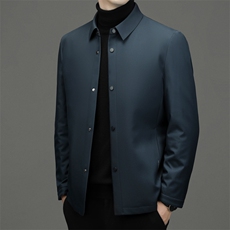 男装2023冬季中青年男士白鸭绒羽绒服商务休闲翻领上衣新款外套，男装羽绒服，电商B212（原钱塘6029）