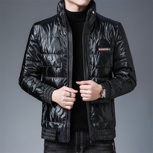 冬装皮衣羽绒服男立领厚保暖中年休闲男装灰鸭绒外套ZS20982-P270图片