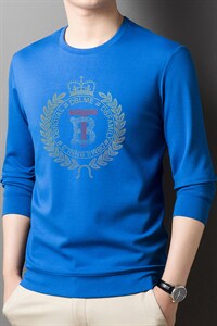 新款男长袖印花上衣2023春秋季宽松加厚圆领卫衣中年男士打底衫图片