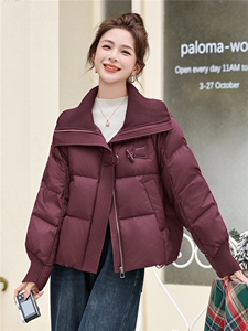 短款羽绒服女2025冬季新款小个子气质大翻领针织拼接韩系加厚外套图片