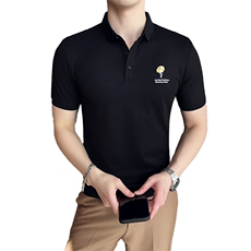 2024夏季新款英伦风高品质修身刺绣POLO衫冰丝短袖T恤男D230-p48，男装T恤，电商D303