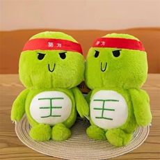 乐嘉毛绒玩具 奋斗龟