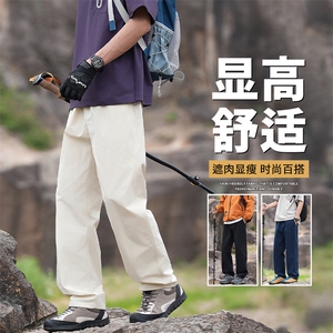 抖音品质男2025春季新款通勤宽松直筒裤A146-GY266特p23量大优图片