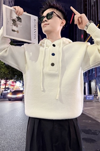 秋冬男士毛衣连帽套头毛线衣青年针织衫高级感外穿8022-P78控118图片