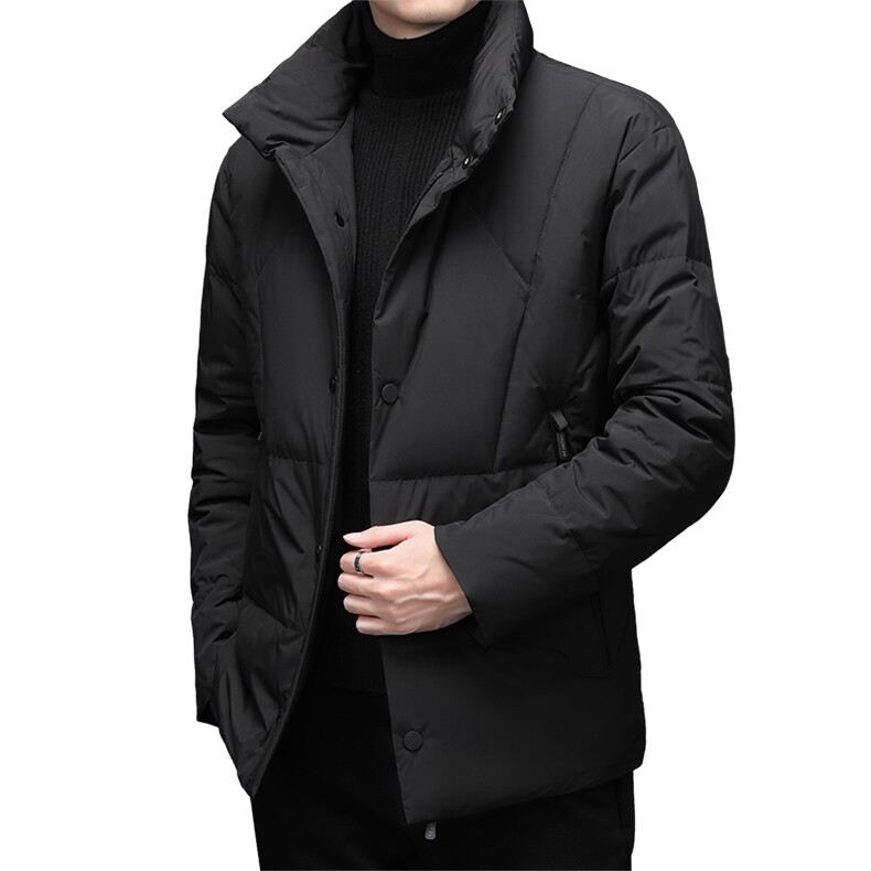 男士白鸭绒羽绒服冬季中年商务休闲爸爸装加厚保暖立领外套新款,男装羽绒服,电商B212（原钱塘6029）