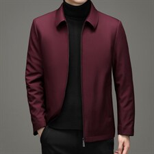 棉衣冬季新款商务休闲中长款翻领风衣男宽松潮流棉服HB2132-P195，男装棉衣，电商B212（原钱塘6029）