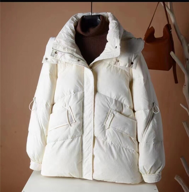 2025年秋季拉链常规长袖立领短款羽绒服时尚百搭，女装羽绒服，禾雯电商供货