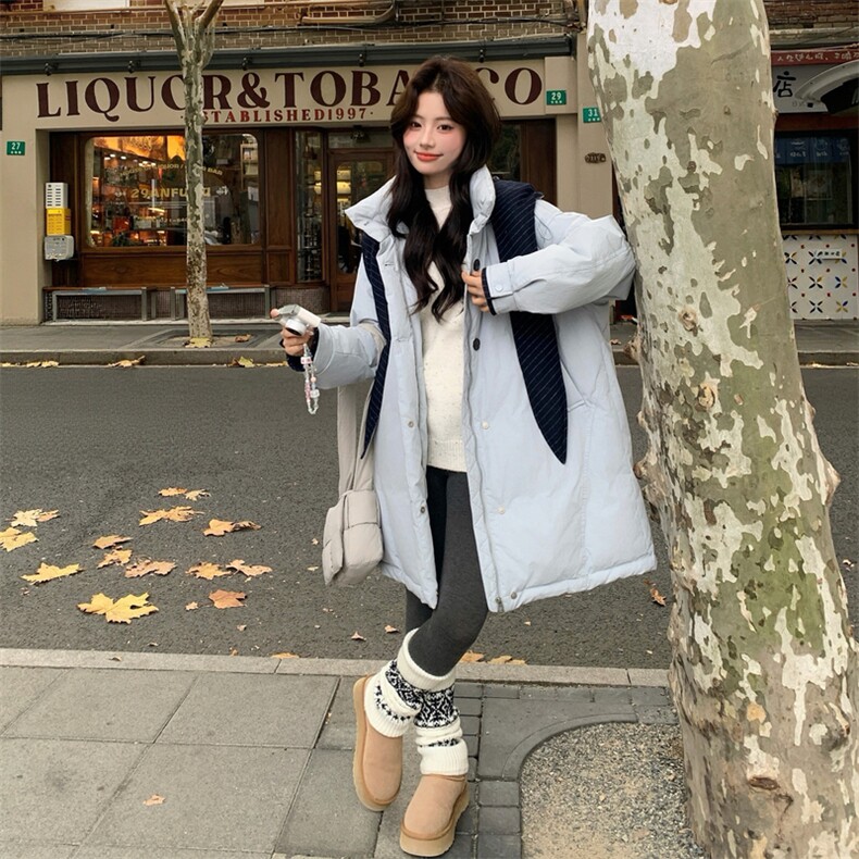2026新款羽绒服帽子脱卸90白鸭绒2C053款号858批355控538,女装羽绒服,2C053