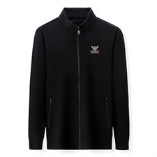 秋季卫衣男外套中老年休闲运动服男春秋款两件套中年爸爸秋装套装，男装休闲套装，电商B212（原钱塘6029）