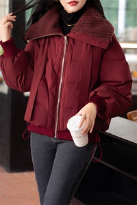 羊羔毛拼接大翻领羽绒服女2024冬新款小个子短款时尚加厚保暖外套图片