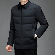 CK6606钱塘2020-2商务休闲简约翻领冬季厚款中年男士羽绒服P225，男装羽绒服，钱塘207-2