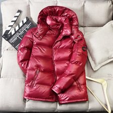 2020电商B247冬季新款亮面羽绒服潮加厚舒适抗寒短款男2008-P140，男装羽绒服，电商B247
