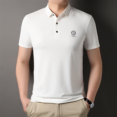 AL2809钱塘2020-3夏季新款中年男士短袖T恤翻领时尚休闲上衣P55，男装T恤，钱塘207-3