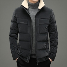 冬季新款羽绒服立领常规中青年男装商务休闲夹克外套HB92166-P295，男装羽绒服，电商B212（原钱塘6029）