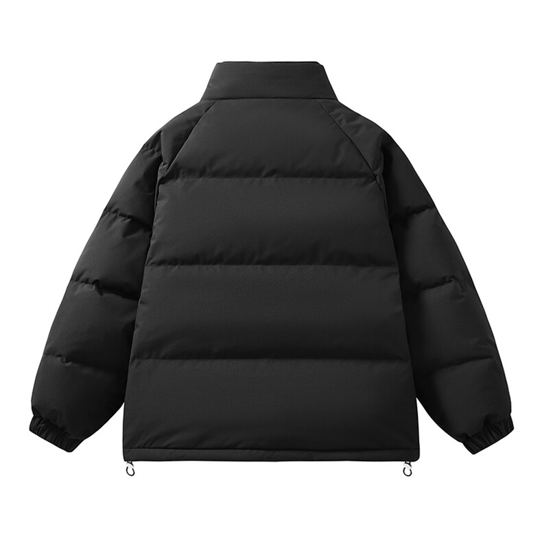 新标白鸭绒立领假两件羽绒服时尚休闲简约百搭外套BL0620-P248,男装羽绒服,电商B306