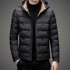 BAMJ-8950钱塘2020-2商务休闲冬季厚款连帽中年男士羽绒服P175，男装羽绒服，钱塘207-2