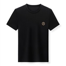 中青年男士短袖tT恤时尚休闲圆领潮流体恤亲肤丝滑凉爽上衣潮P60，男装T恤，钱塘6003A(原)4033A