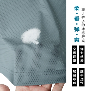 特批P25无差价25夏季透气网眼冰丝凉感速干大码空调短裤男DK5808图片