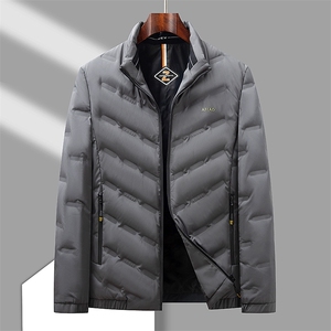 男士短款羽绒服冬季保暖爸爸中老年冬装时尚立领外套HO23126-P190图片