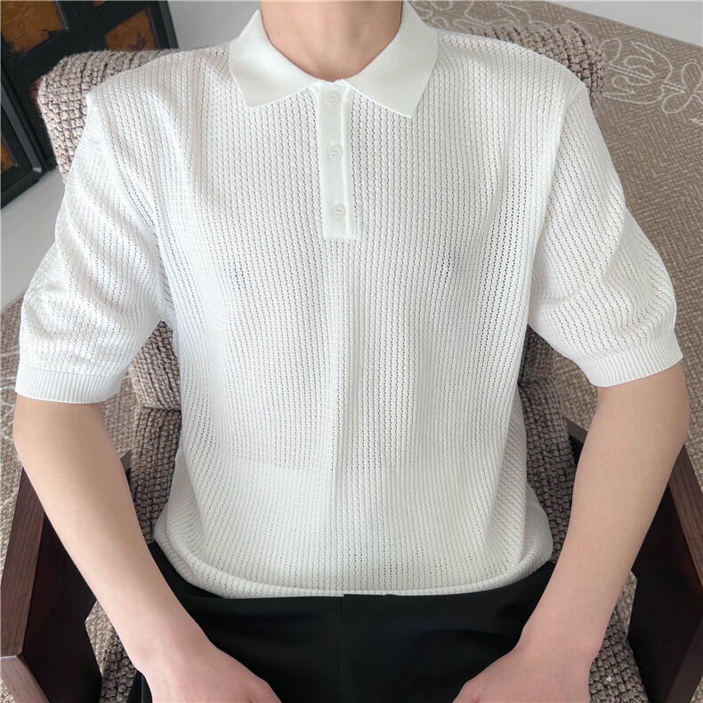 夏季男士短袖纯色翻领冰丝针织衫宽松T恤轻熟B3004-P55,男装T恤,星座1012-1