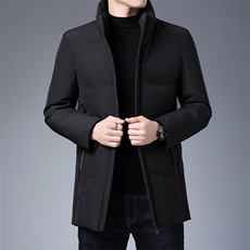 冬季新款羽绒服男宽松男士外套立领羽绒服羽绒衣KCN20869-5-P215，男装羽绒服，电商B212（原钱塘6029）