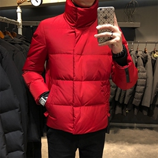 棉衣冬季立领棉衣男潮流时尚棉衣男A210-MY81025-P85，男装棉衣，星座210-3