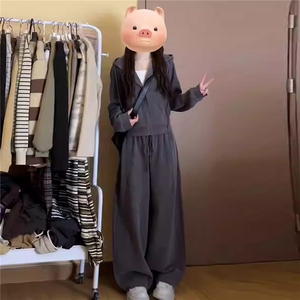 女春季新款时尚休闲套装宽松减龄拉链开衫抽绳外套直筒长裤两件套图片