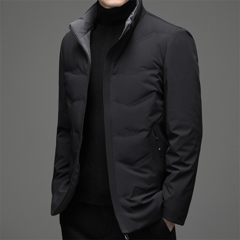 冬季白鸭绒立领羽绒服休闲男士简约短款时尚商务户外防寒男外套,男装羽绒服,钱塘6003（原4033）