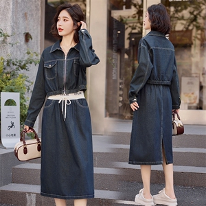 欧货爆款流行牛仔套装女2024初秋新款洋气减龄时髦流行半裙两件套图片