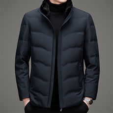 2023冬季新款羽绒服立领外穿商务休闲潮流外套男装MSNA2166-P330，男装羽绒服，电商B212（原钱塘6029）
